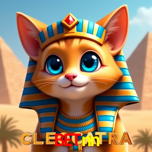 Football Betting betnn